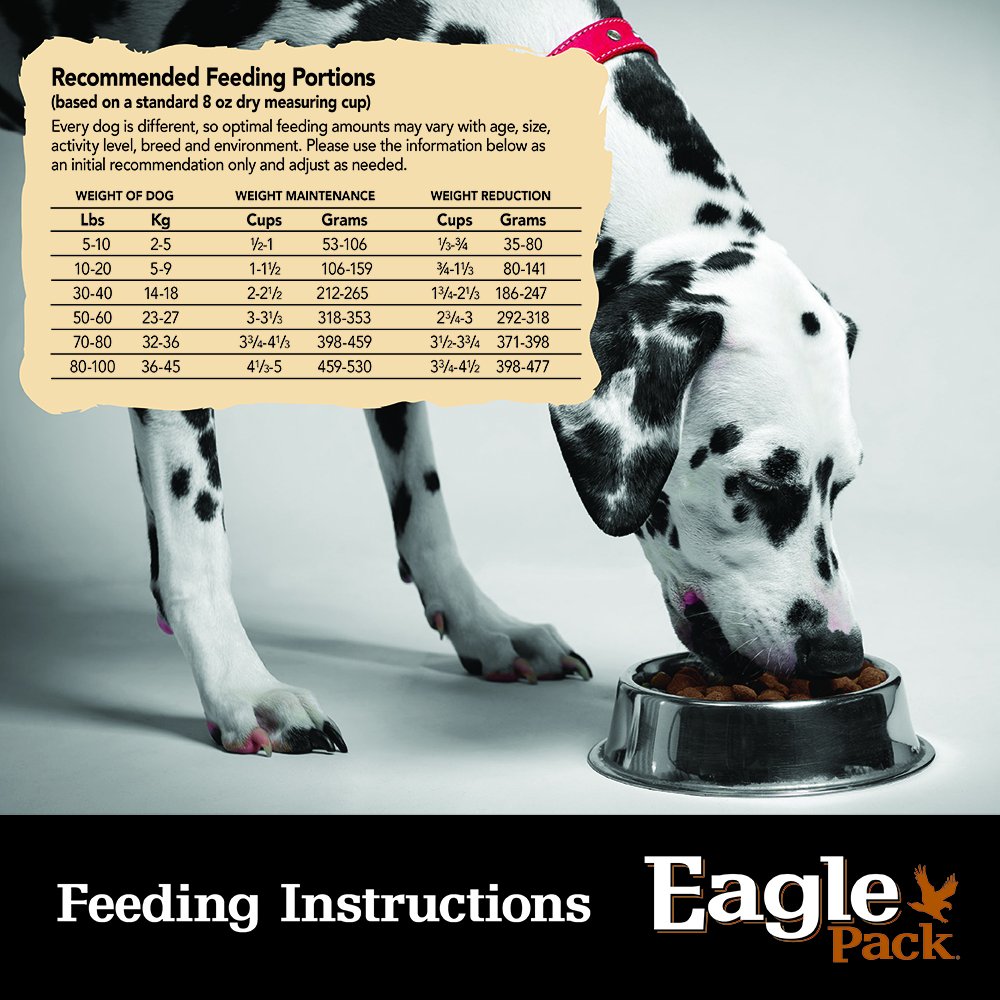 USA-made label on Eagle Pack bag confirms domestic production standards.