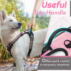 Eagloo back ring close-up shows versatile leash options for walking.