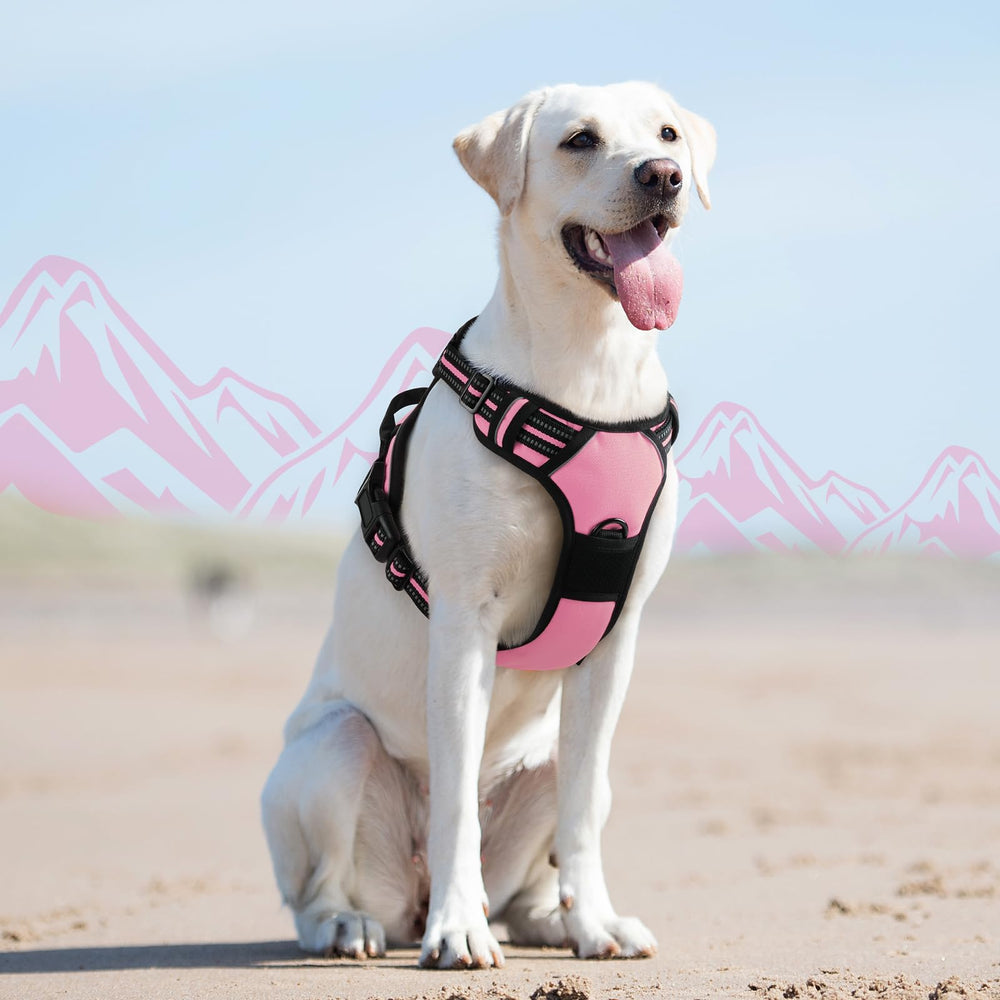 Eagloo pink harness on a large dog during daily strolls.