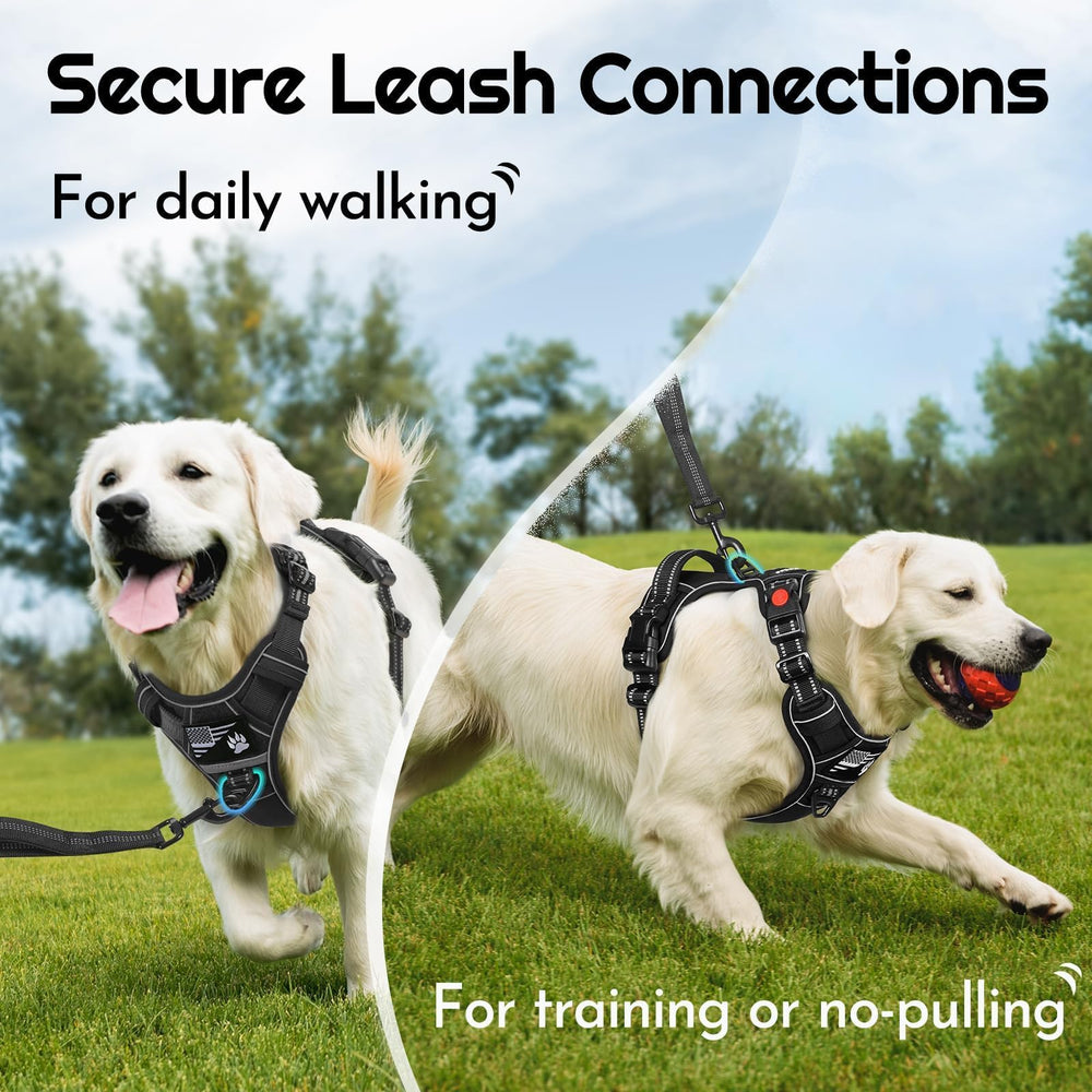 Eagloo harness back handle for quick stops and brief assistance