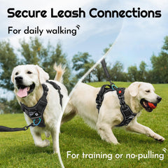 Eagloo harness back handle for quick stops and brief assistance