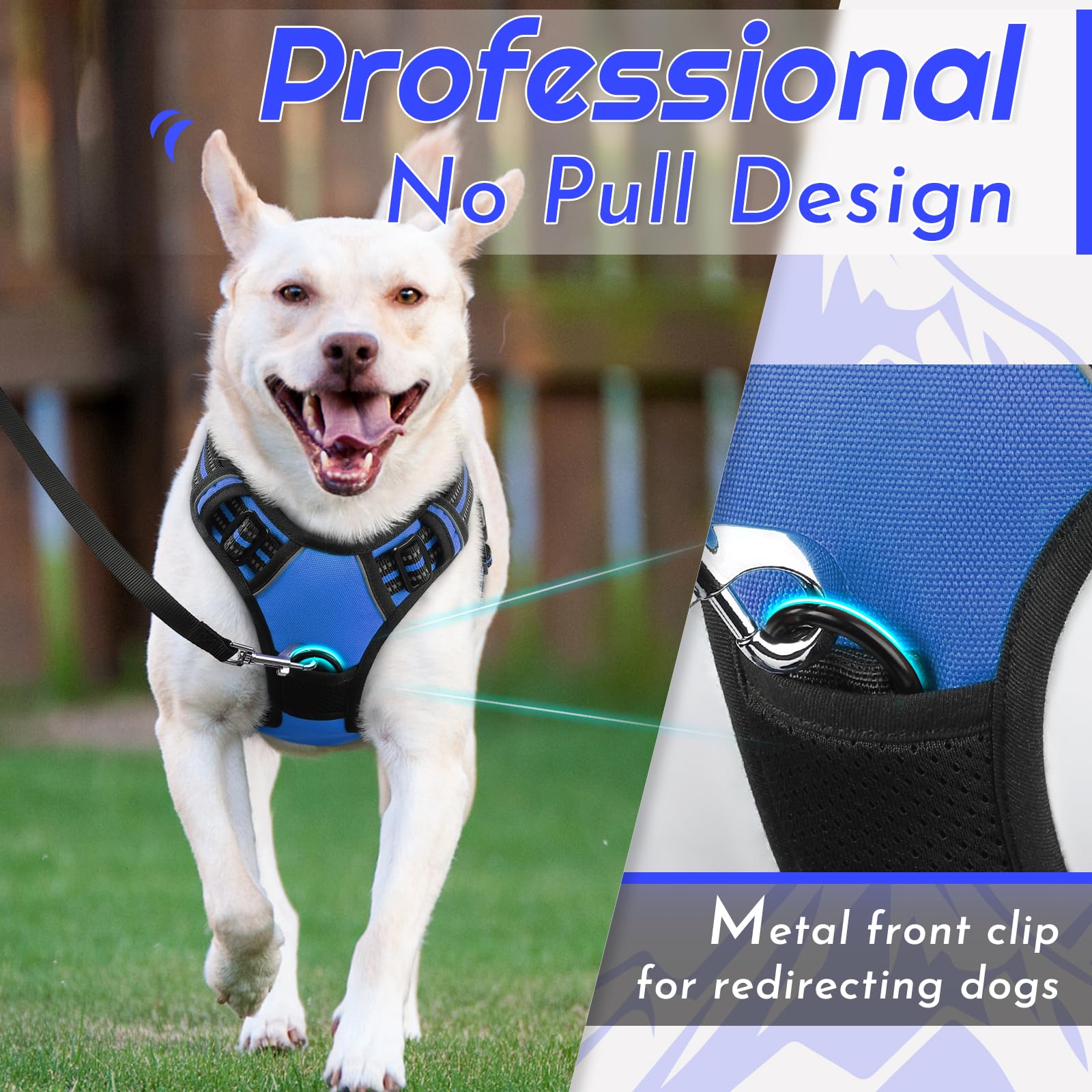 Eagloo harness back ring offers versatile control for casual strolls