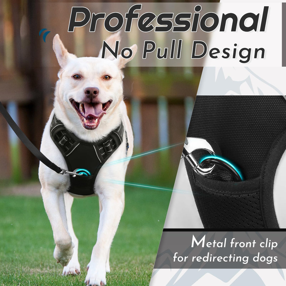 Eagloo harness back leash ring for casual walks