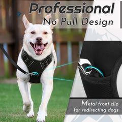 Eagloo harness back leash ring for casual walks