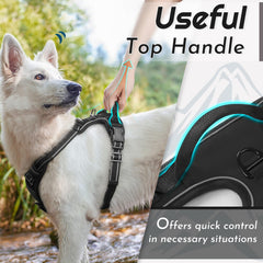 Eagloo breathable air mesh padding keeps dog cool