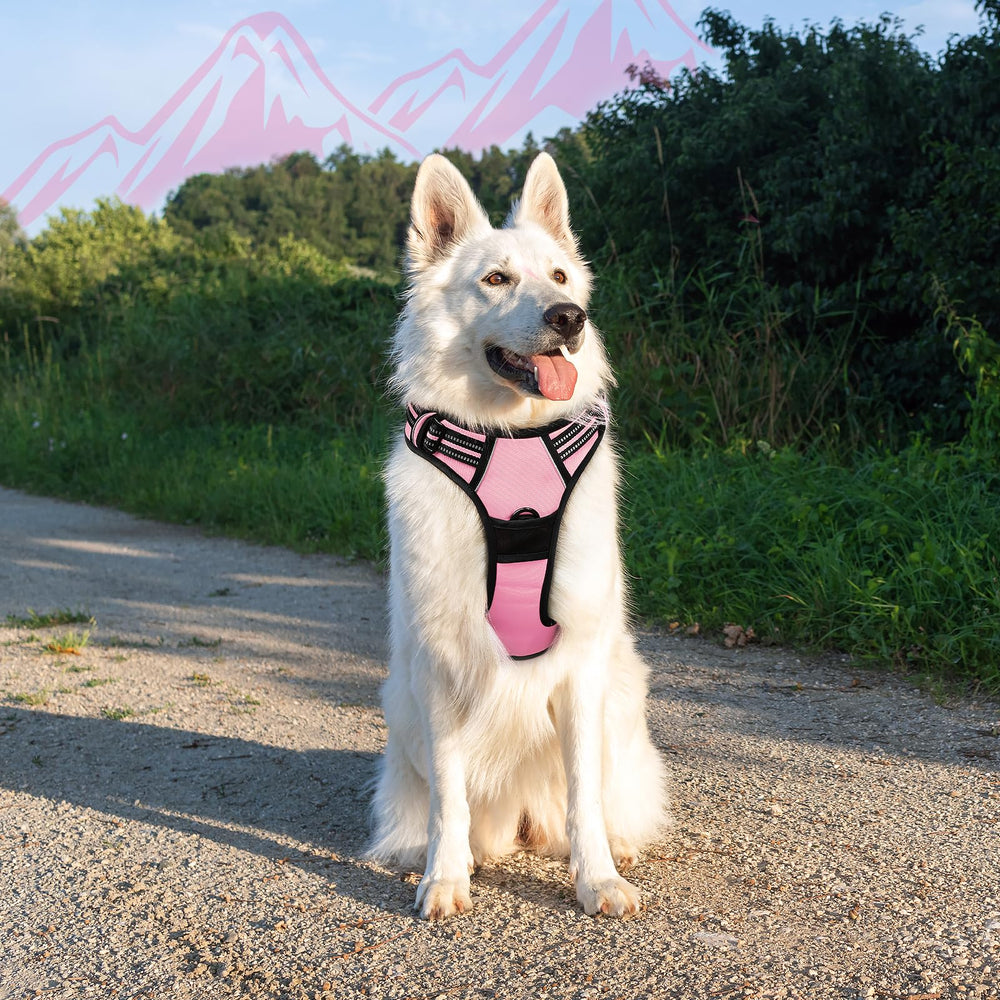 Eagloo built-in control handle for quick assistance during walks.