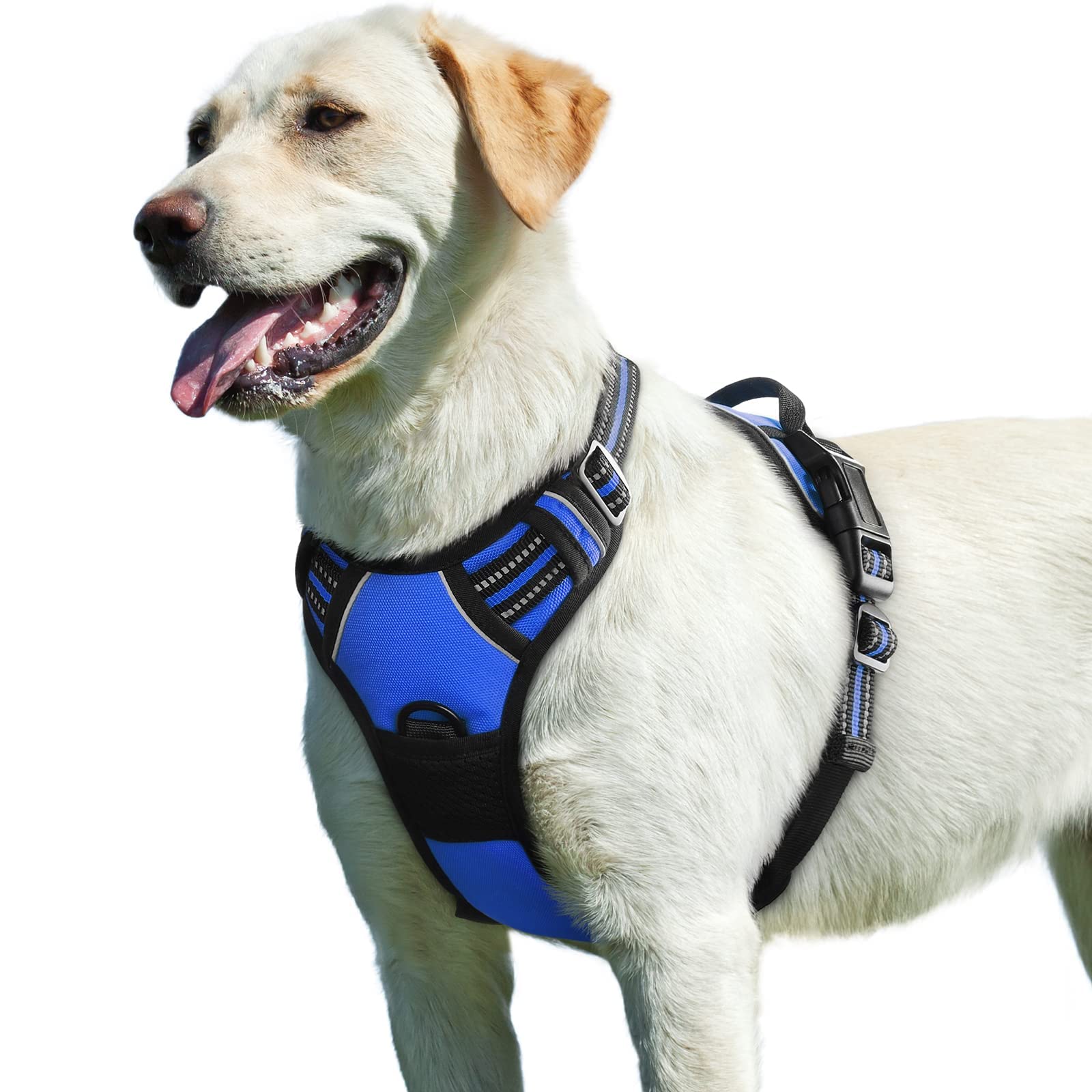 Eagloo harness with front chest ring reduces pulling during walks