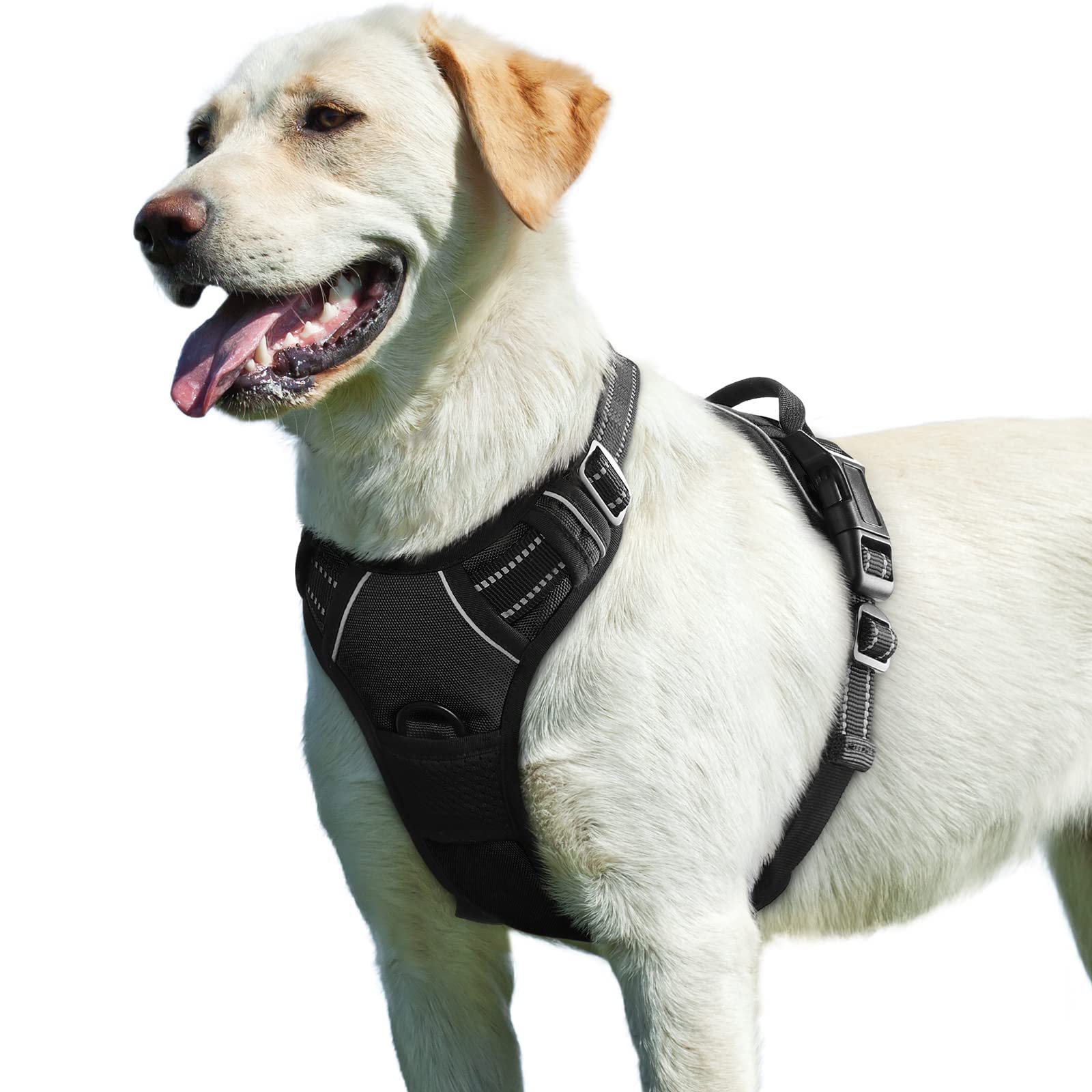 Eagloo harness front chest ring for improved training control