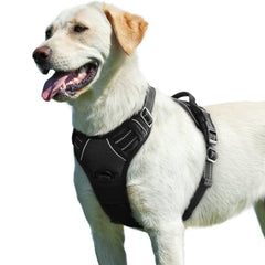 Eagloo harness front chest ring for improved training control