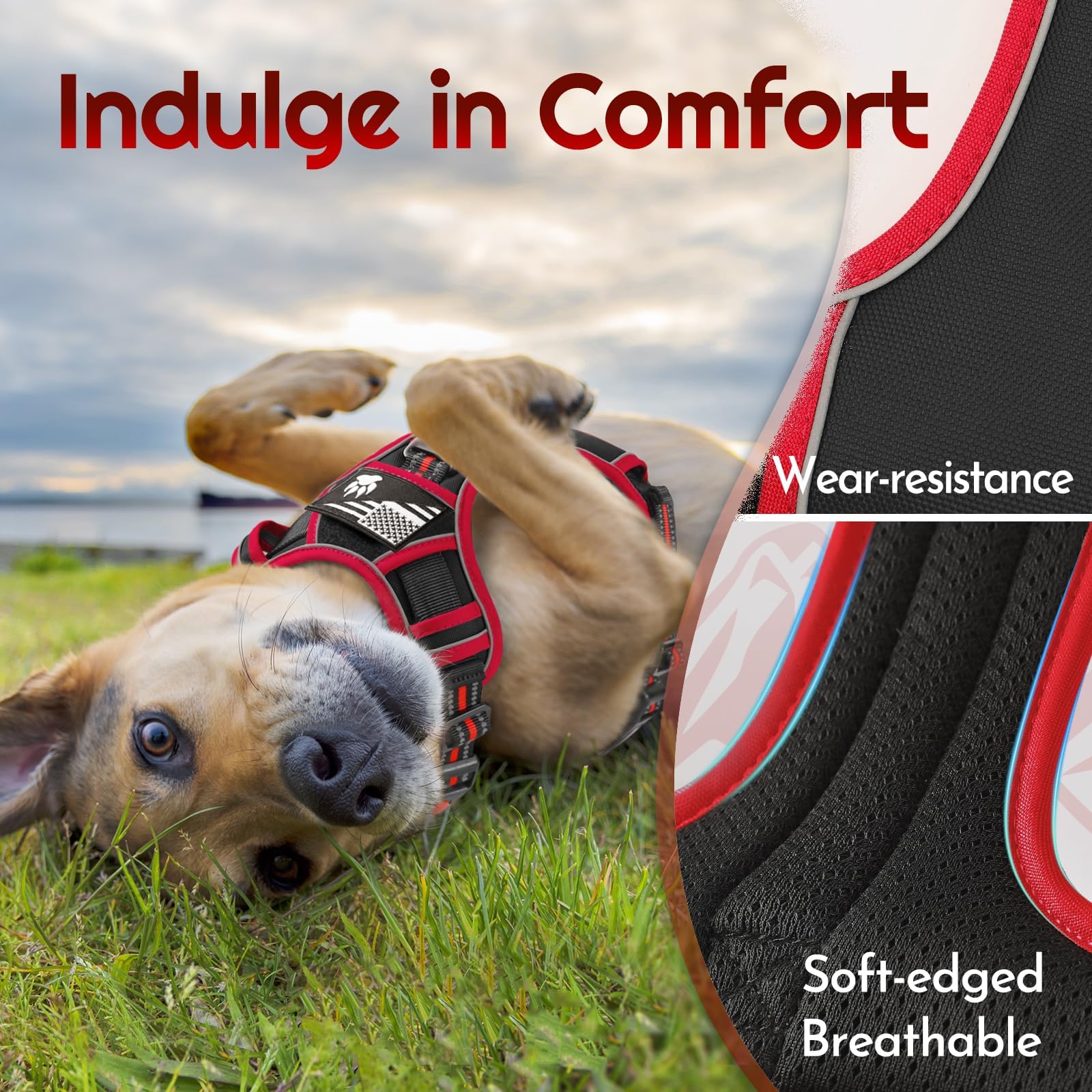 Eagloo large dog harness adjustable strap system for precise fit.