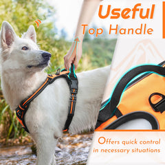 Eagloo large harness back handle for secure car rides.
