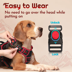 Eagloo large dog harness back ring for secure daily walks.