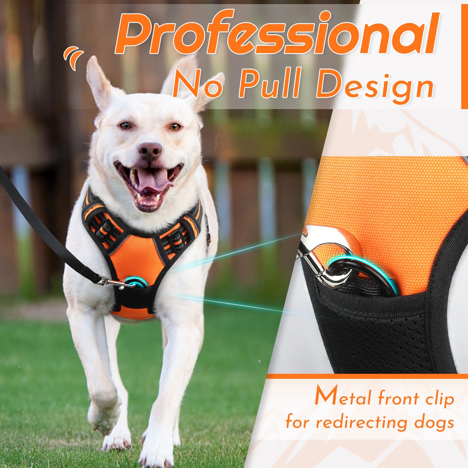 Eagloo large harness chest ring supports heel training and reduces pulling.