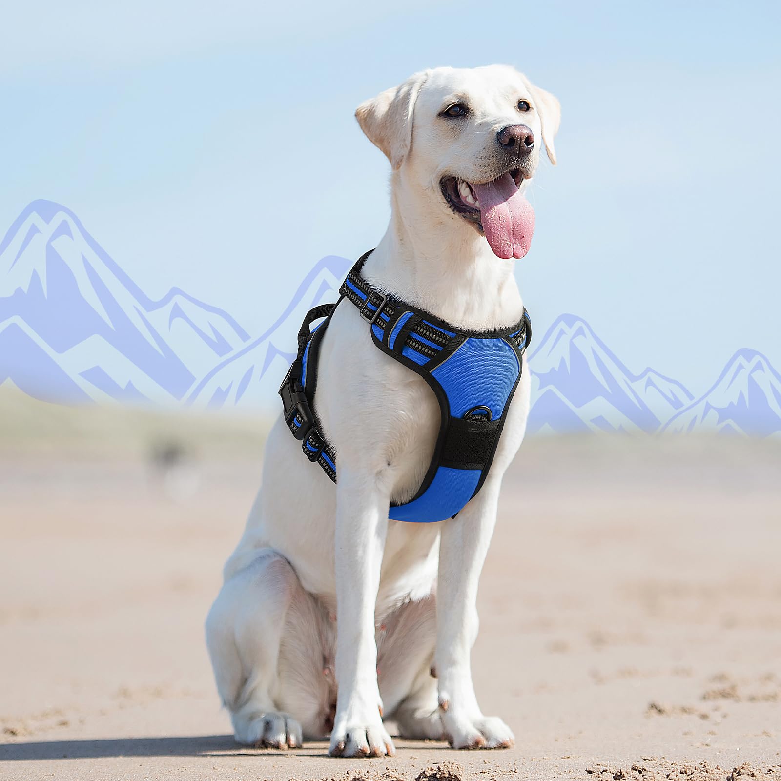 Eagloo harness designed for large dogs like Labradors and Shepherds