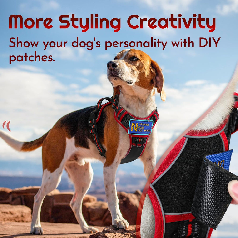Eagloo large dog harness front ring redirects forward motion to curb pulling.