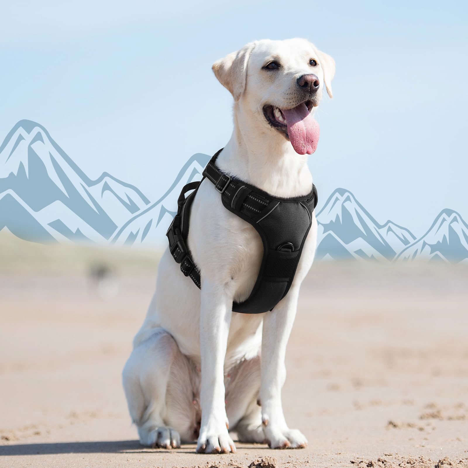 Eagloo large size L harness suited for big dogs