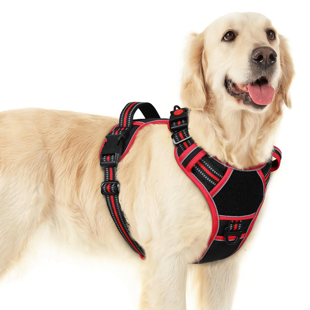 Eagloo large dog harness showing three-buckle closure for easy wear.