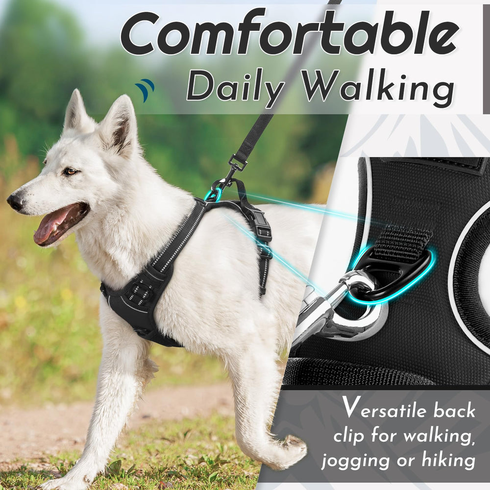 Eagloo reflective strips on harness for night safety