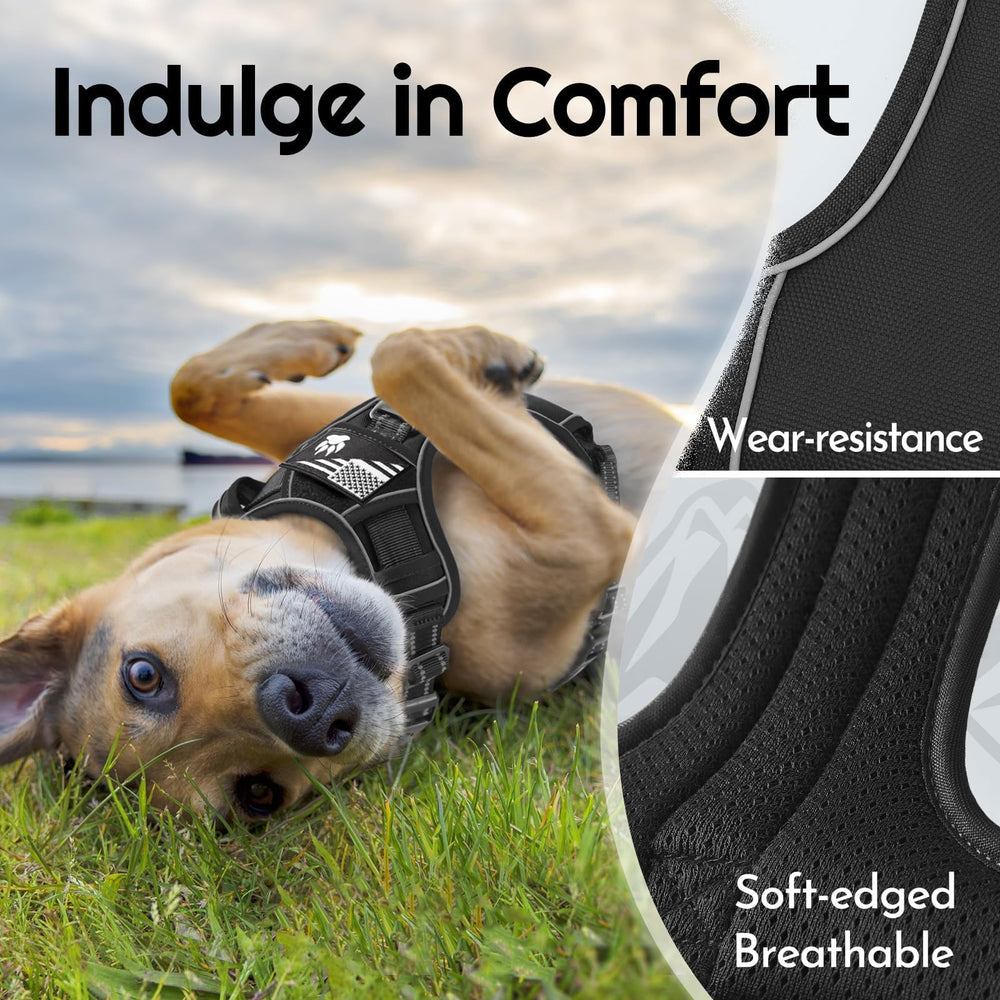 Eagloo harness soft mesh lining keeps your dog cool and comfortable
