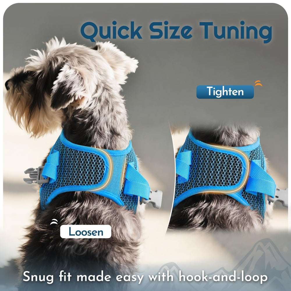 Eagloo compact, easy-fit harness kit for on-the-go adventures