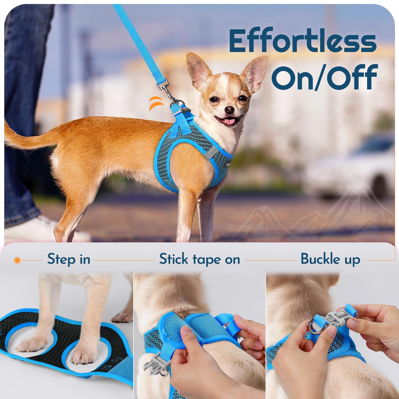 Eagloo color-matching harness and leash set for cohesive look