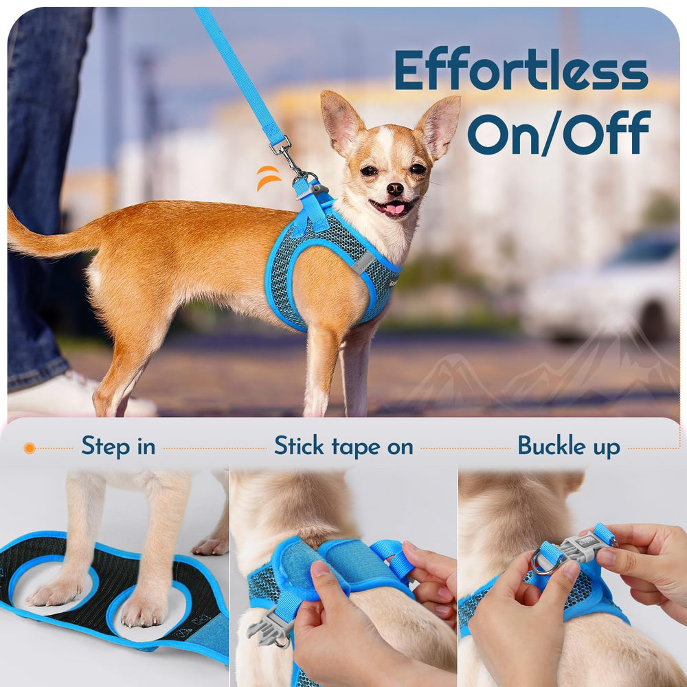 Eagloo color-matching harness and leash set for cohesive look