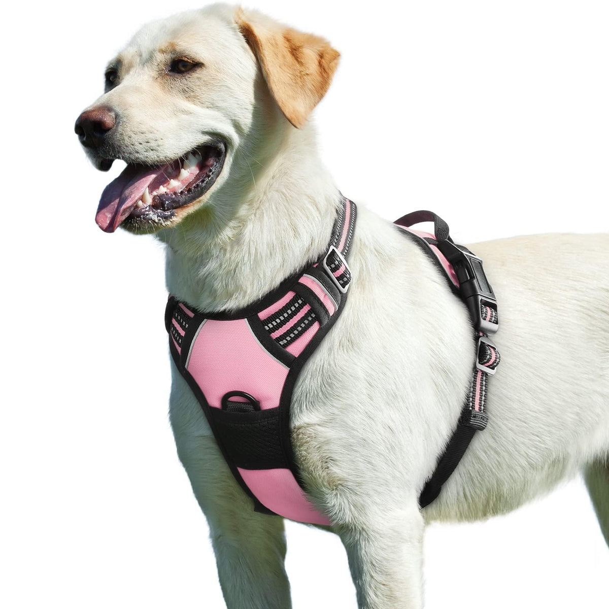 Eagloo no-pull harness front view in pink for comfortable daily walks.