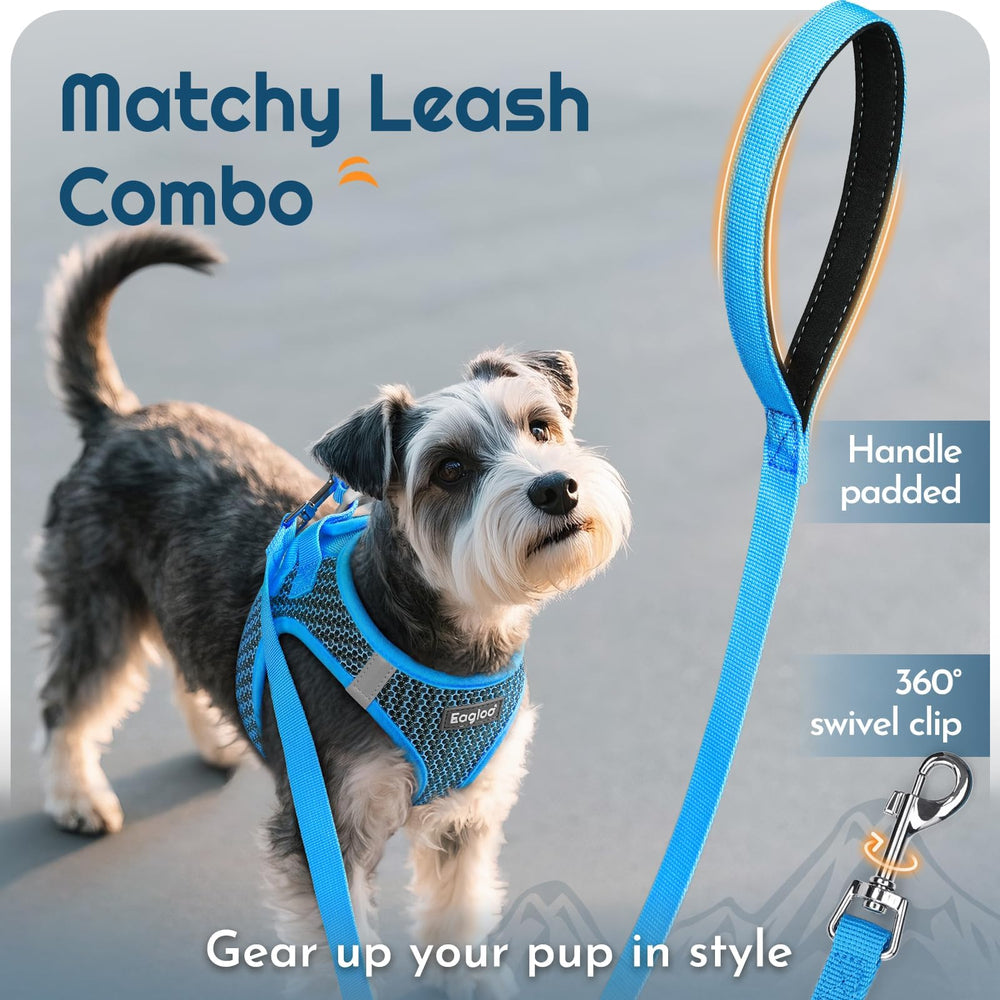 Eagloo quick-dry mesh fabric keeps dogs cool after play