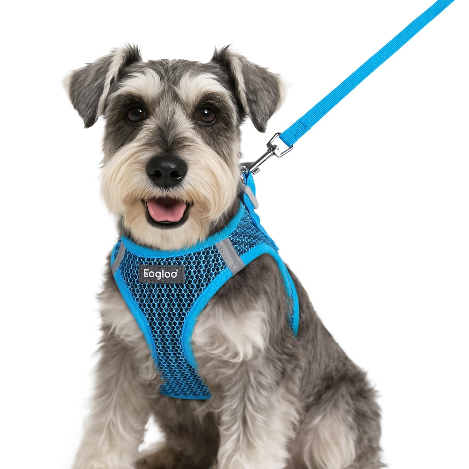 Eagloo small dog harness with breathable mesh for comfortable daily walks