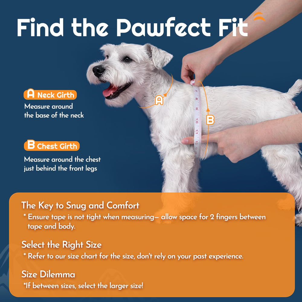 Eagloo blue step-in harness easy on-off for small dogs