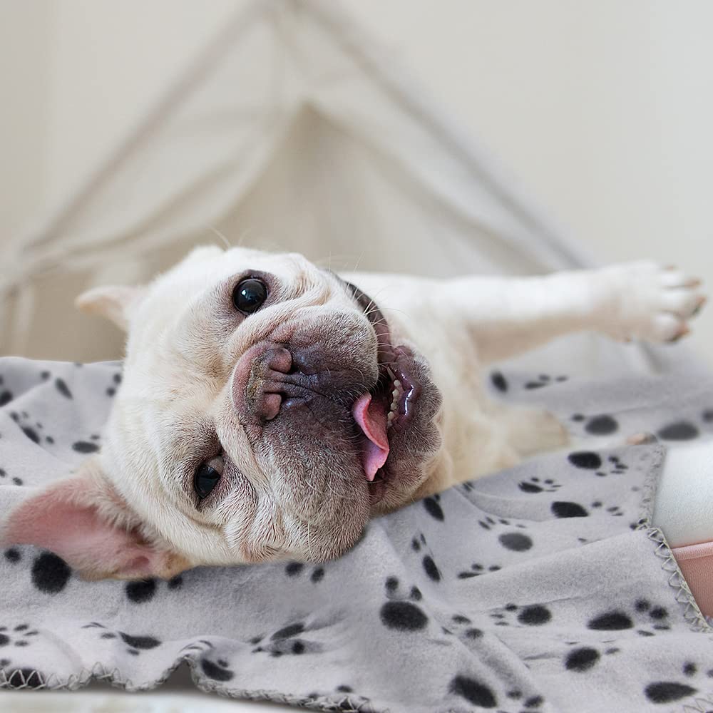 EAGMAK red paw-print fleece blanket, soft warmth for playful pets