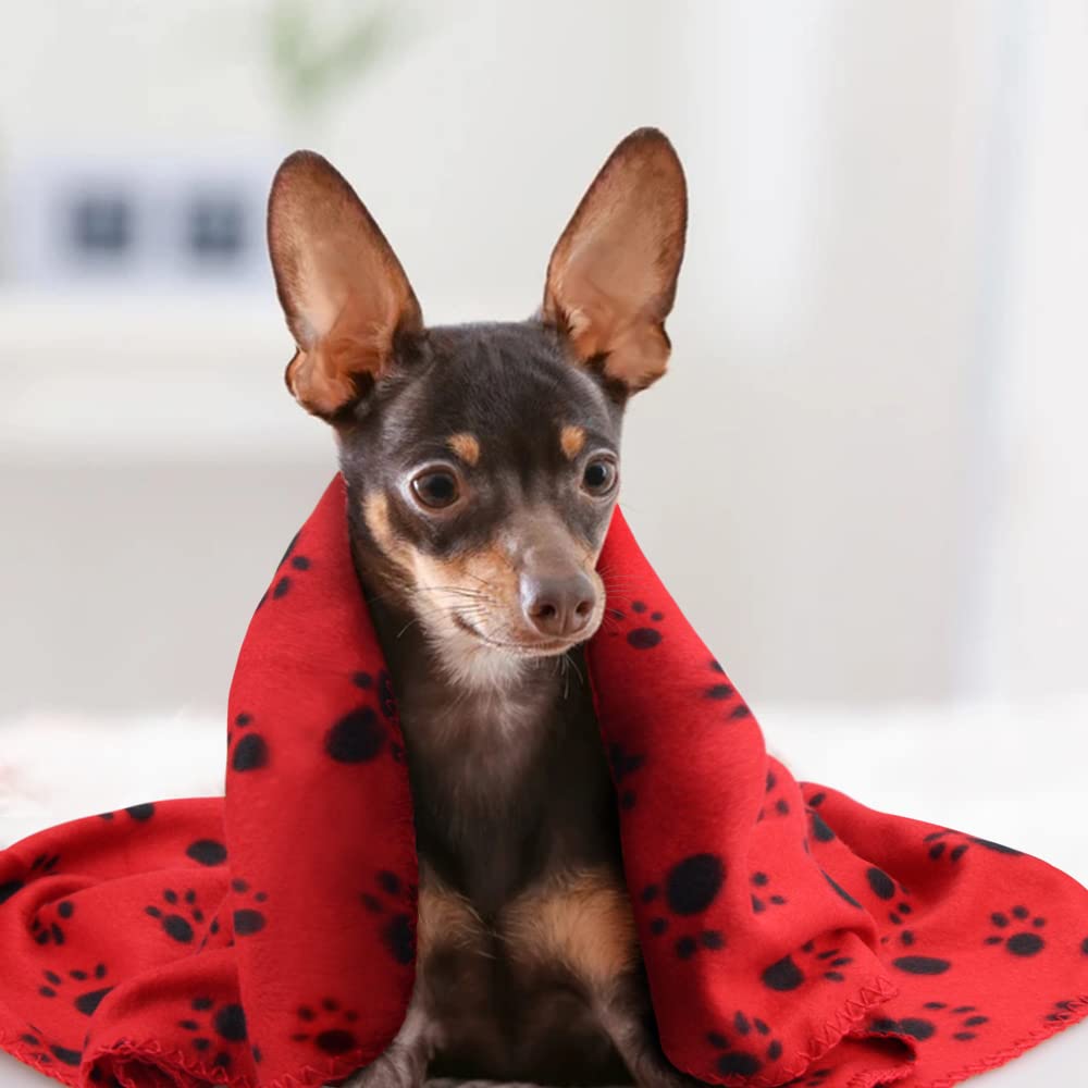EAGMAK white paw-print fleece blanket, lightweight warmth for small pets