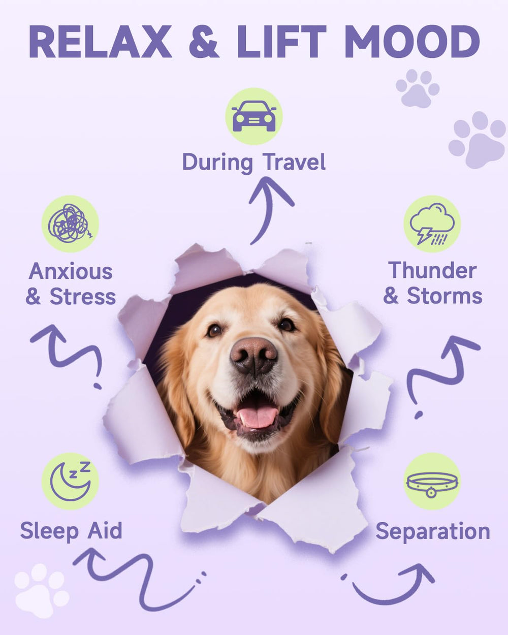 Eagou Diary Dog Calming Drop label and bottle highlighting daily use.