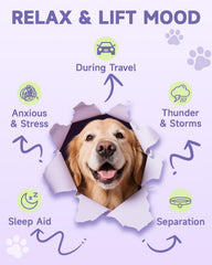 Eagou Diary Dog Calming Drop label and bottle highlighting daily use.