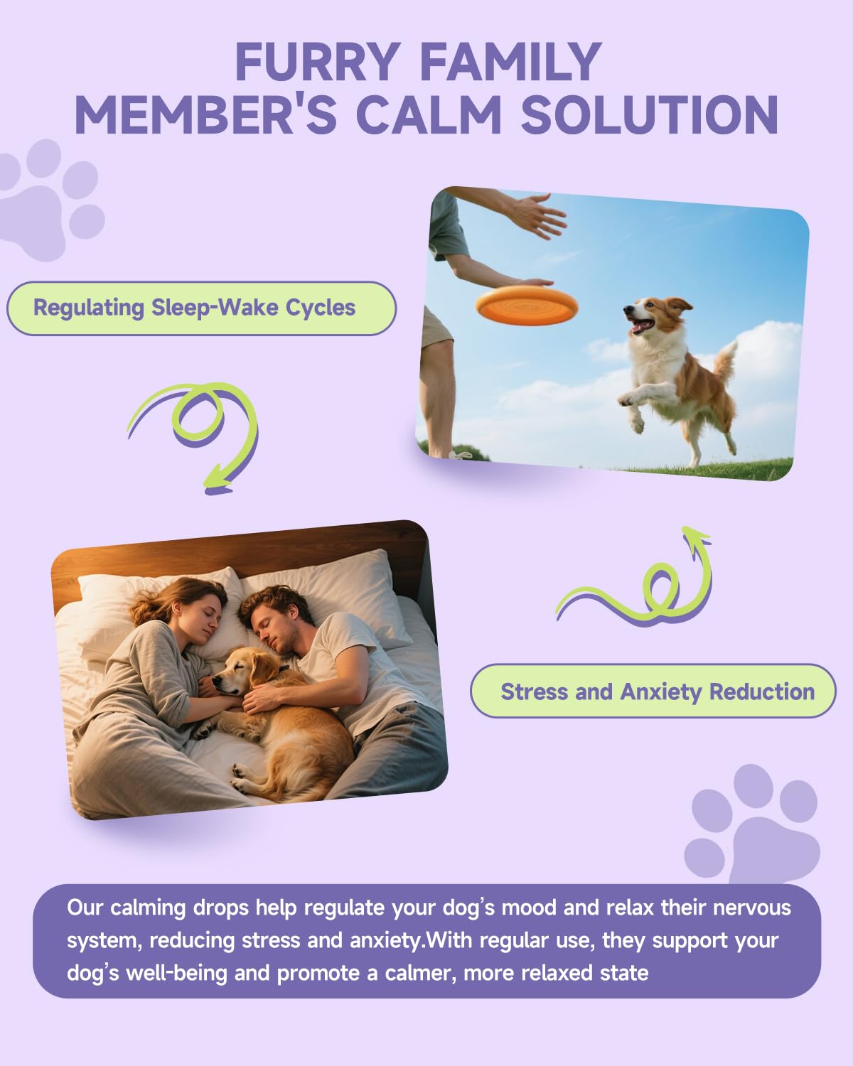 Nighttime routine scene with dog and Eagou Diary calming drops.