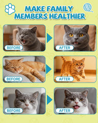 Eagou Diary L-Lysine Drops being added to cat food for simple administration
