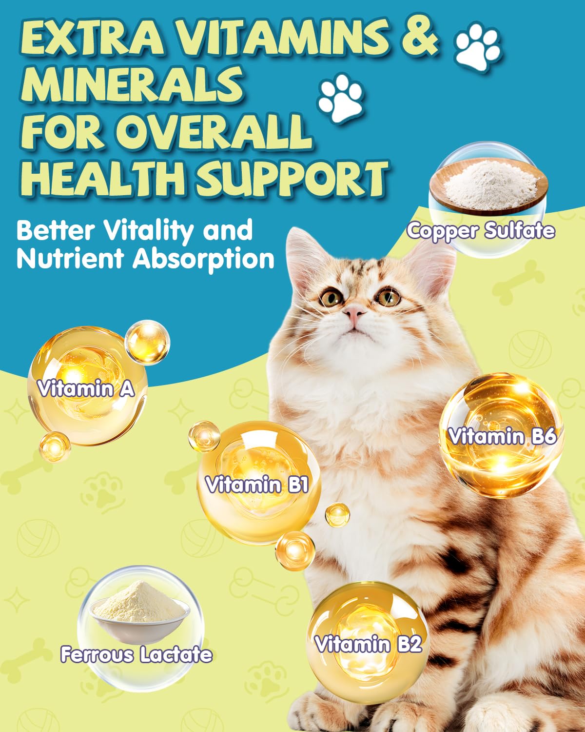 Kitten-friendly L-Lysine Drops suitable for all ages from Eagou Diary