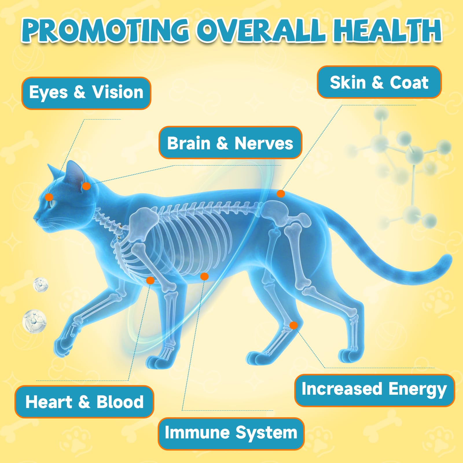 Eagou Diary Taurine for Cats Drops dropper for precise daily dosing