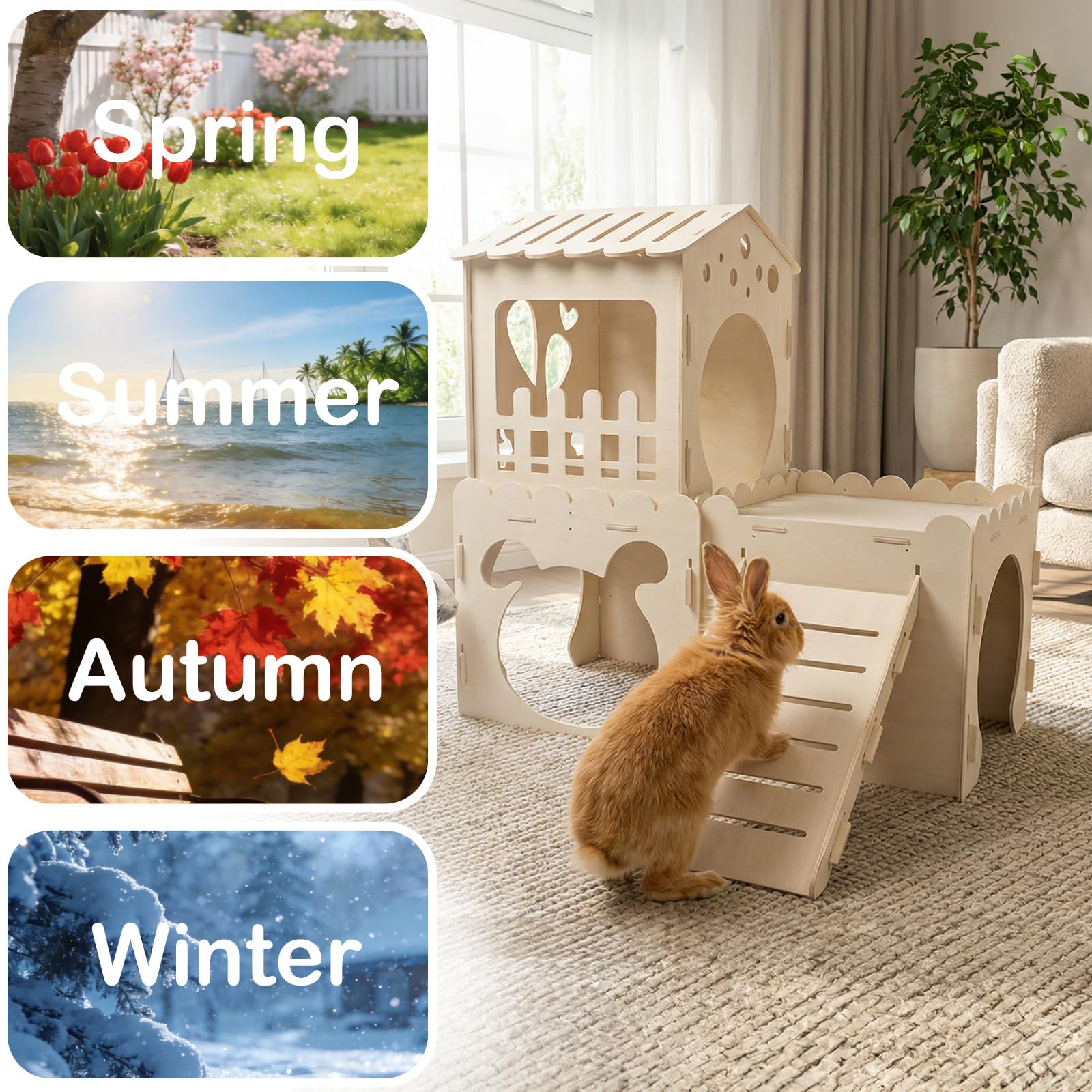 EAROND large space accommodates multiple small pets for social fun