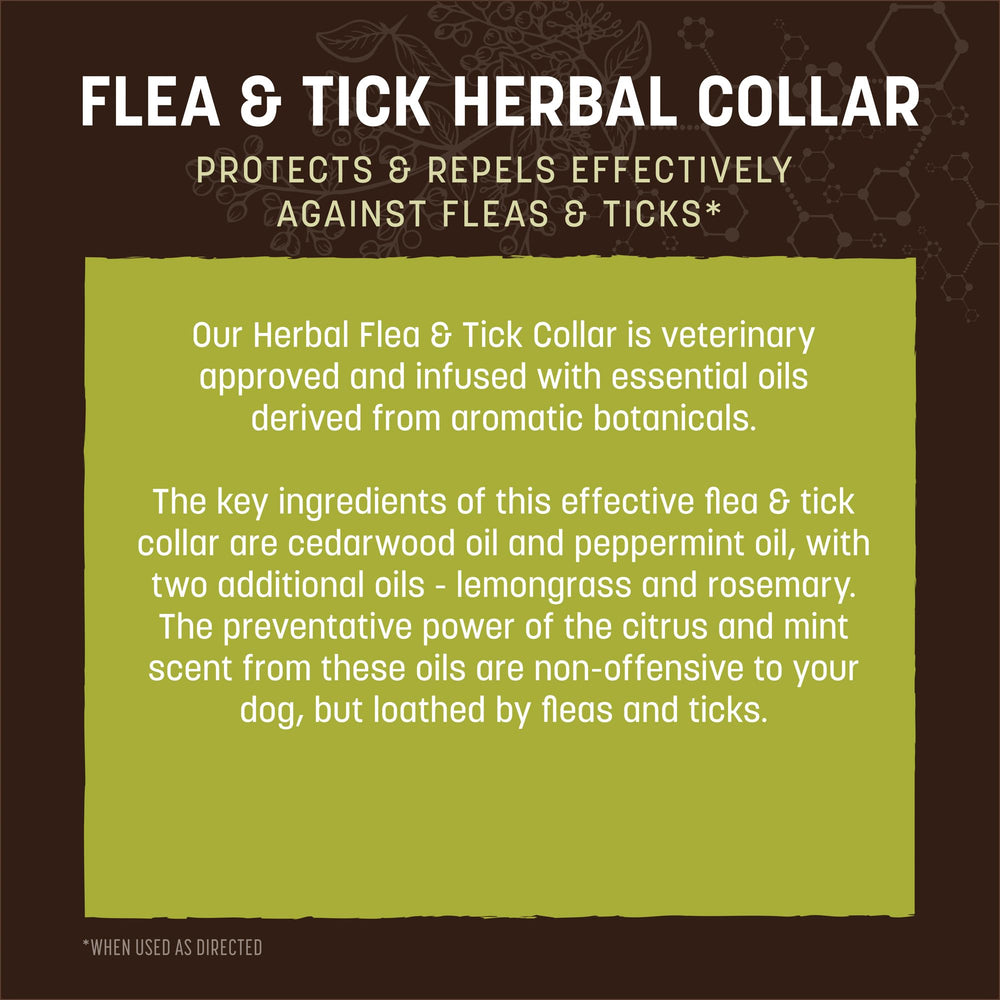 Cedarwood and other oils impart a natural scent on the collar