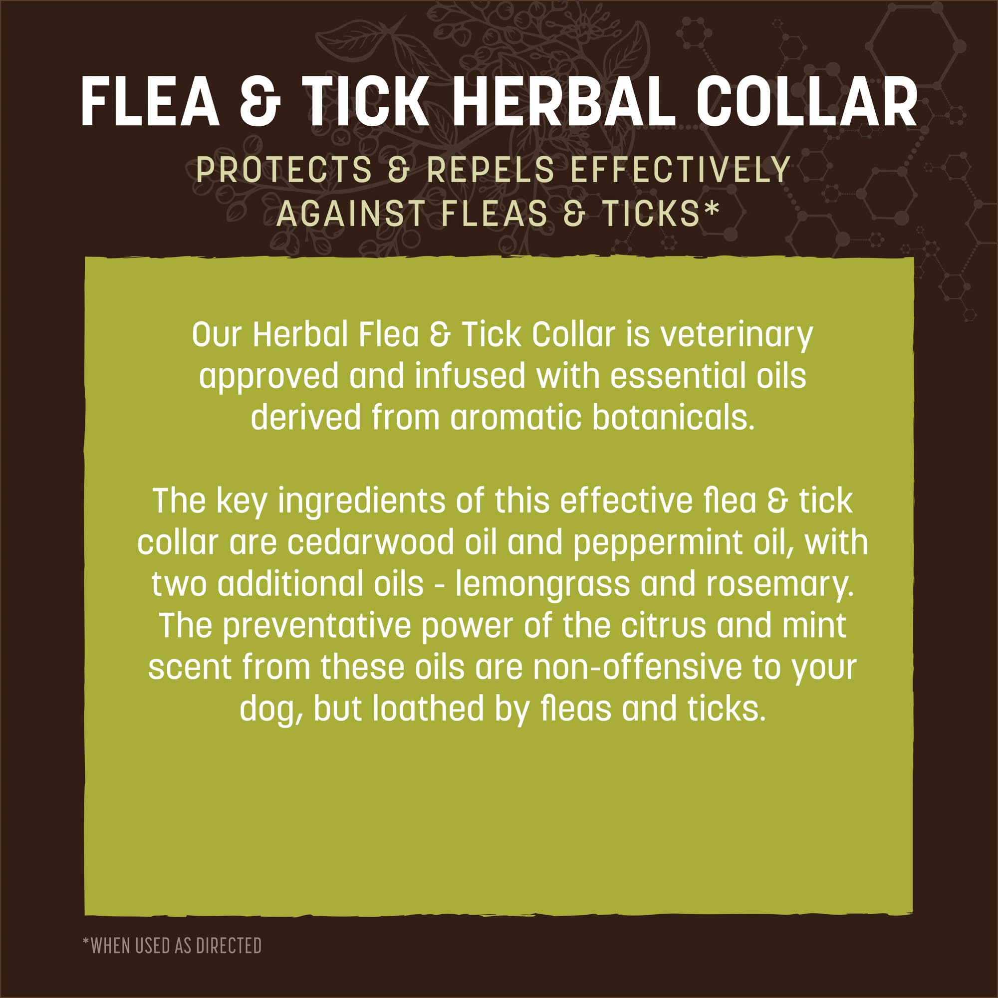 Close-up of Earth Animal Apothecary collar fastening and secure fit on dog.