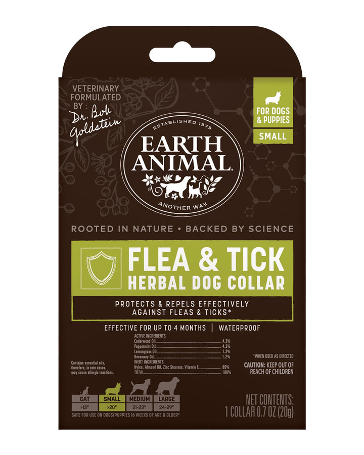 Earth Animal flea tick collar on a small dog for natural protection