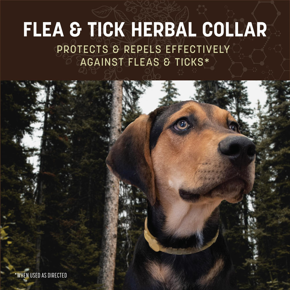 Earth Animal Apothecary collar closeup showing essential oil blend scent.