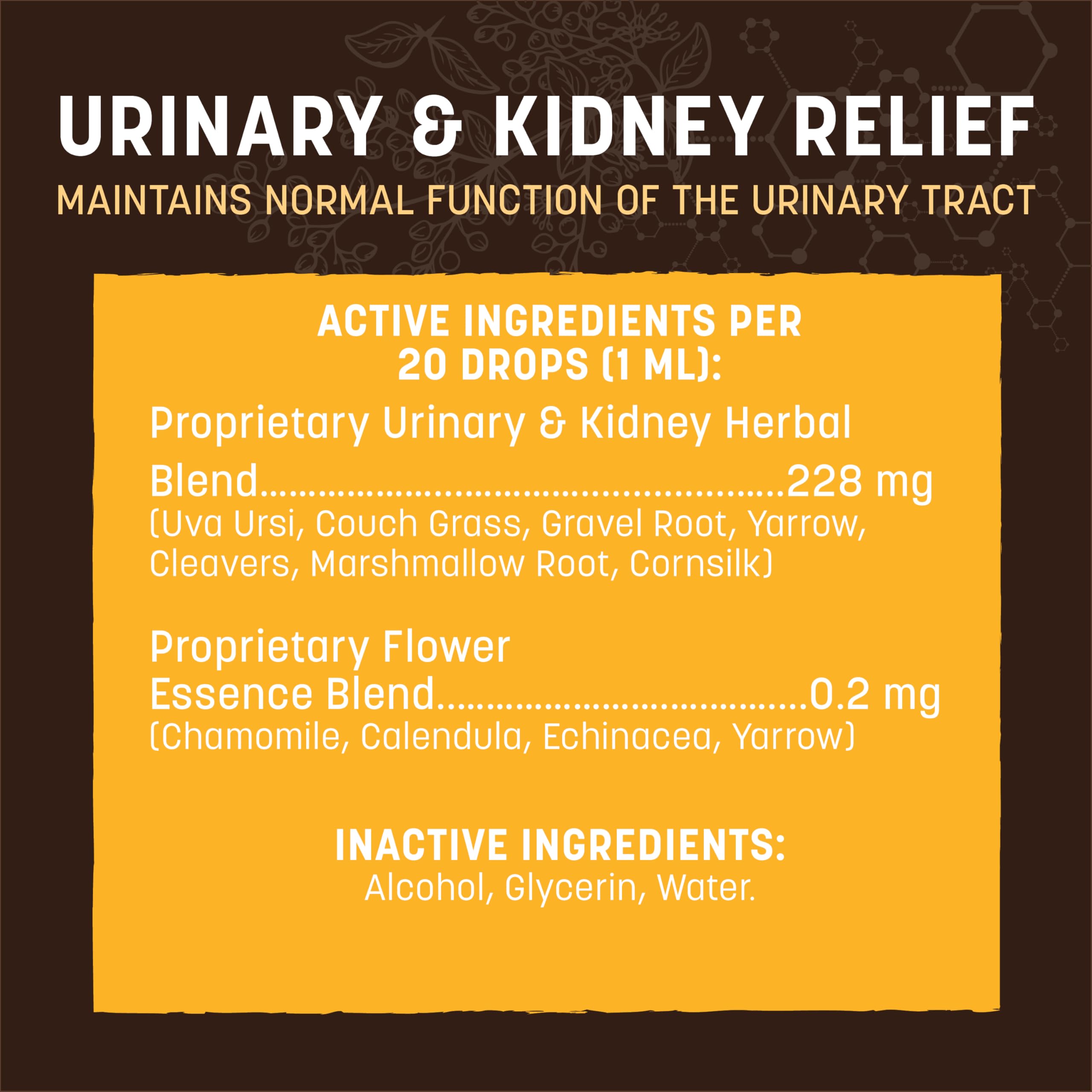 Dog and cat drinking water with Earth Animal Apothecary urinary relief drops
