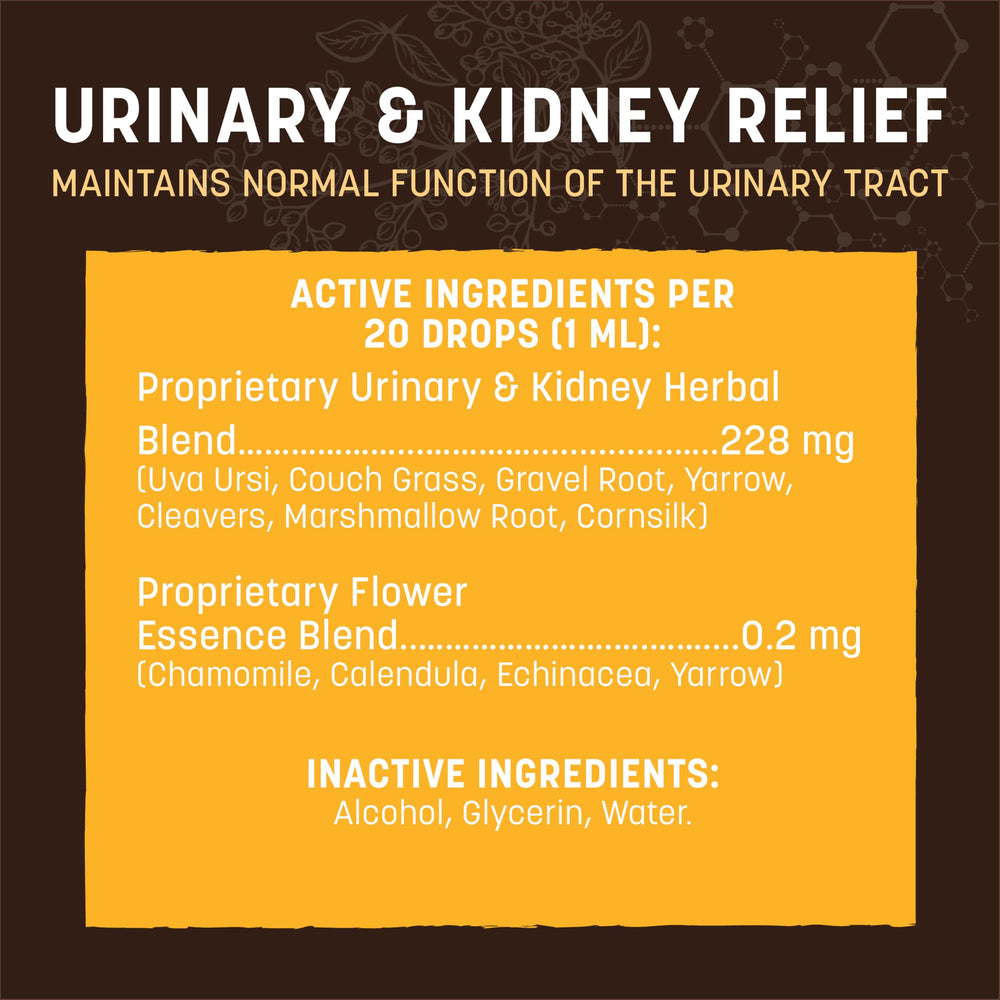 Dog and cat drinking water with Earth Animal Apothecary urinary relief drops