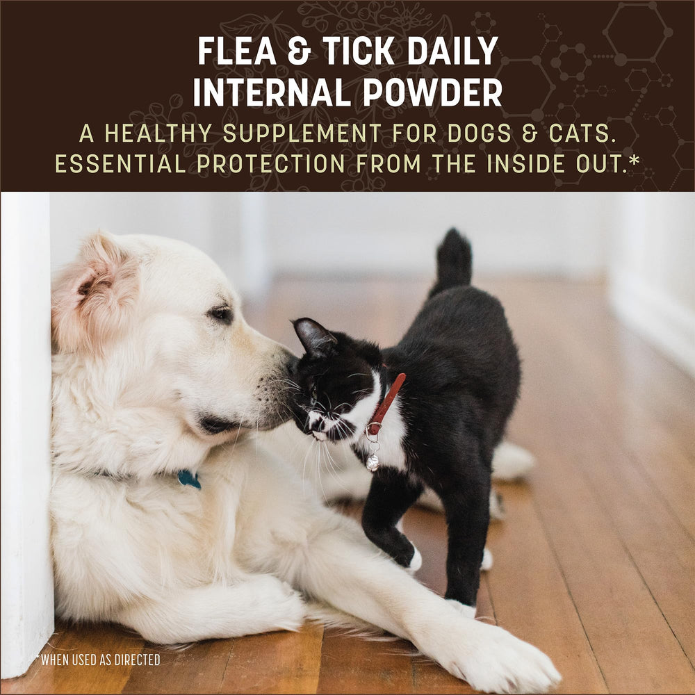 Measuring spoon with Earth Animal Daily Internal Powder ready to mix for pets