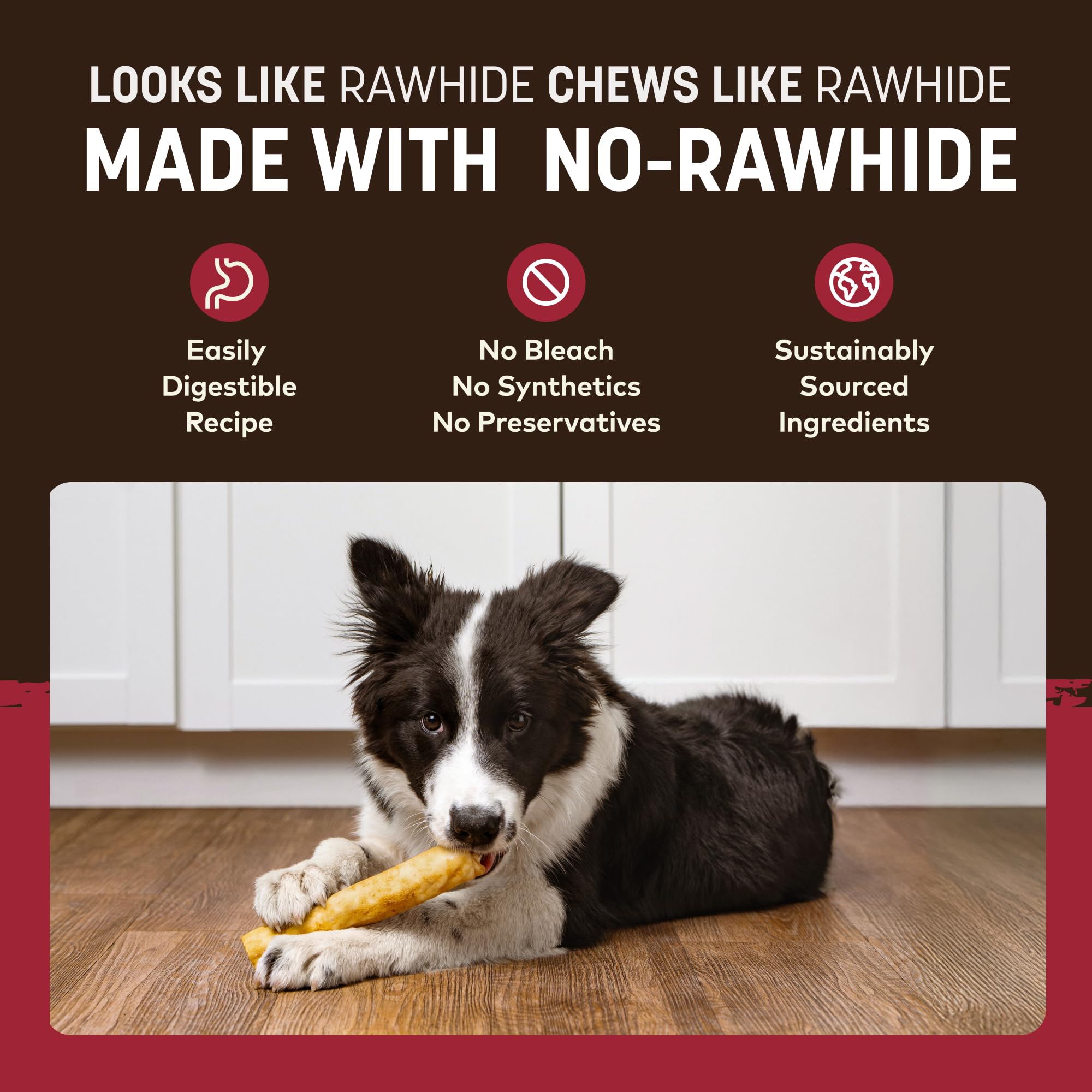 Earth Animal No Hide Chews dog chewing action demonstrates engagement