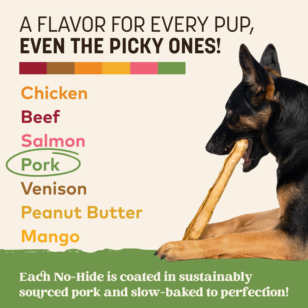 Earth Animal No Hide Chews long-lasting pork roll resting beside a content large dog