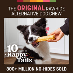 Earth Animal No Hide Chews salmon rolls in a 2-count pack, perfect for busy pups.