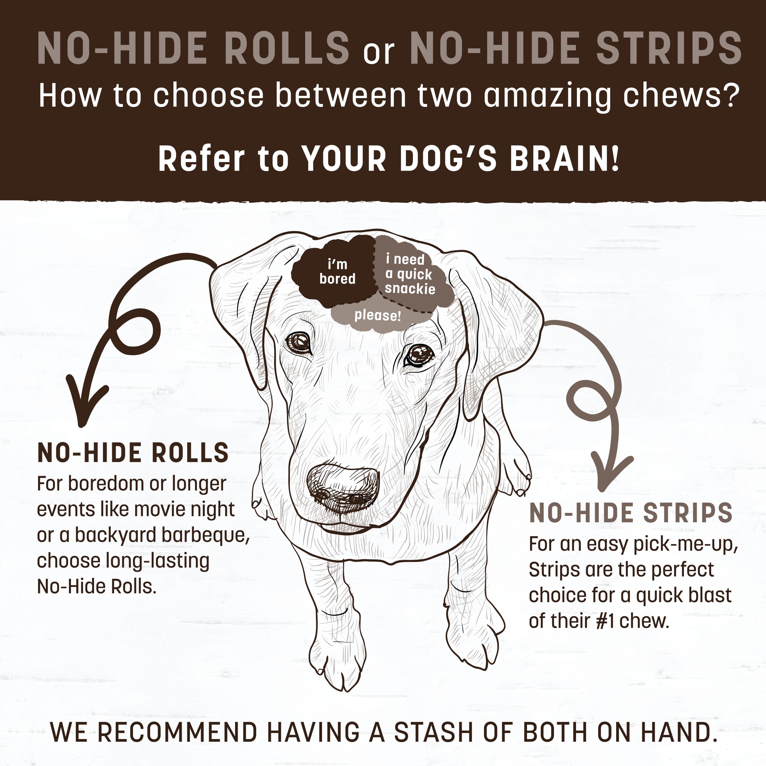 Medium-dog chew session with Earth Animal No-Hide Rolls.
